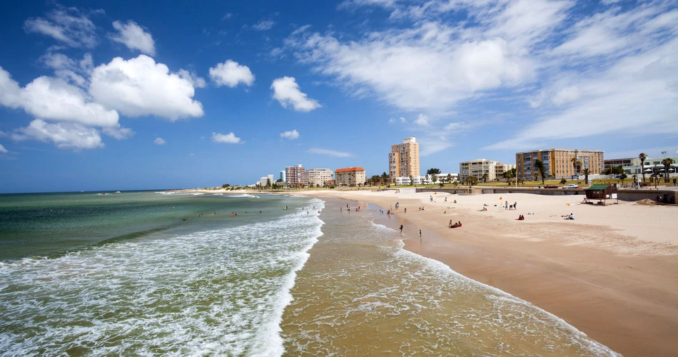 Best Beaches in Port Elizabeth (Gqeberha) – Complete 2025 Guide
