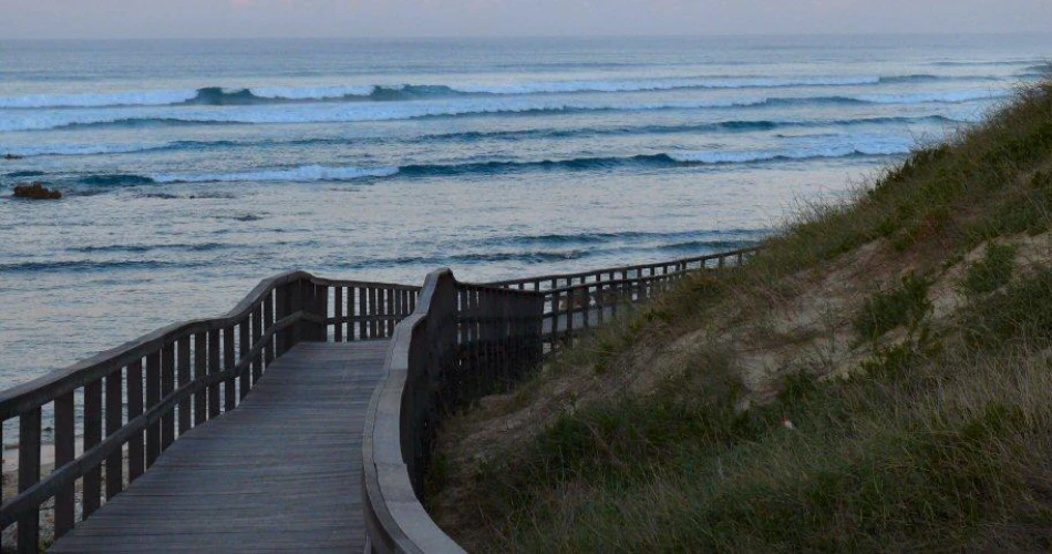 Best Beaches in Port Elizabeth (Gqeberha) – Complete 2025 Guide