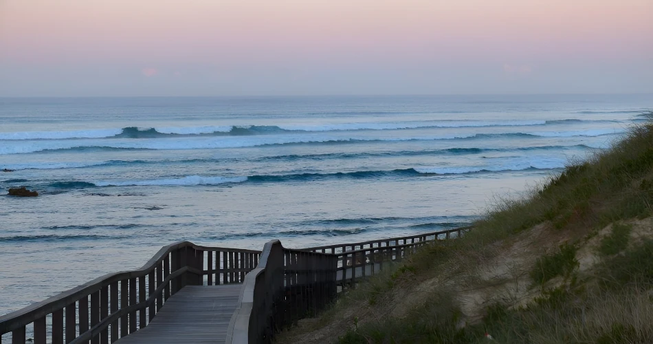 Best Beaches in Port Elizabeth (Gqeberha) – Complete 2025 Guide