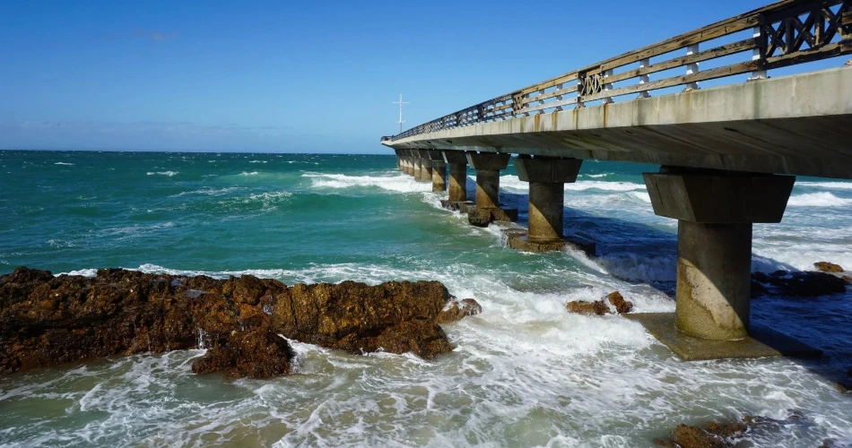 Best Beaches in Port Elizabeth (Gqeberha) – Complete 2025 Guide