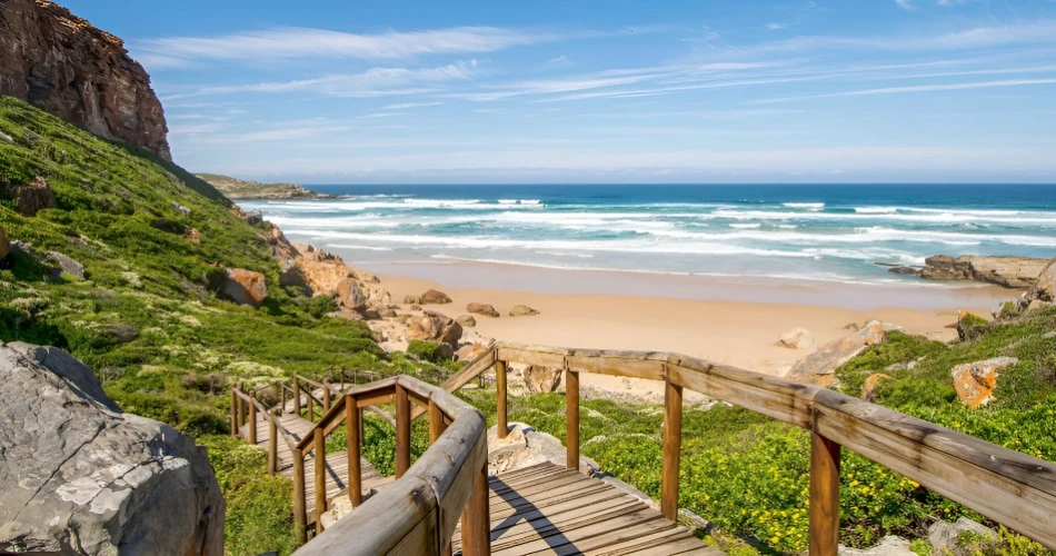 Top Things to Do in Port Elizabeth (Gqeberha) 2025 – Wildlife, Adventure & Culture