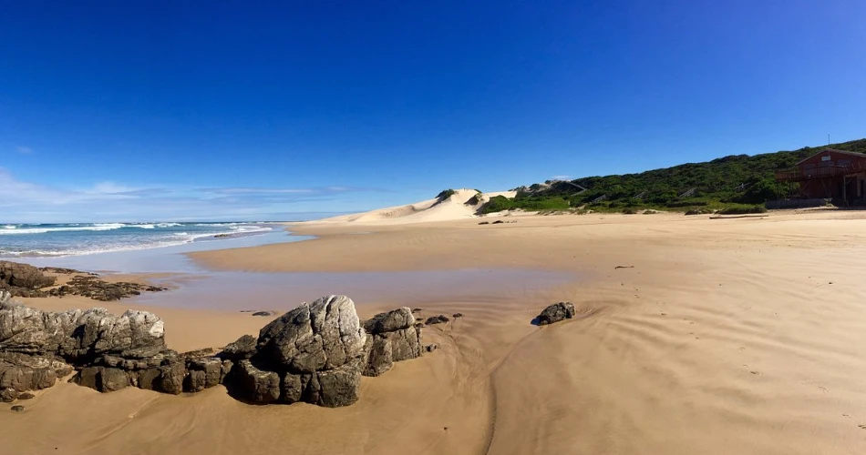 Top Things to Do in Port Elizabeth (Gqeberha) 2025 – Wildlife, Adventure & Culture