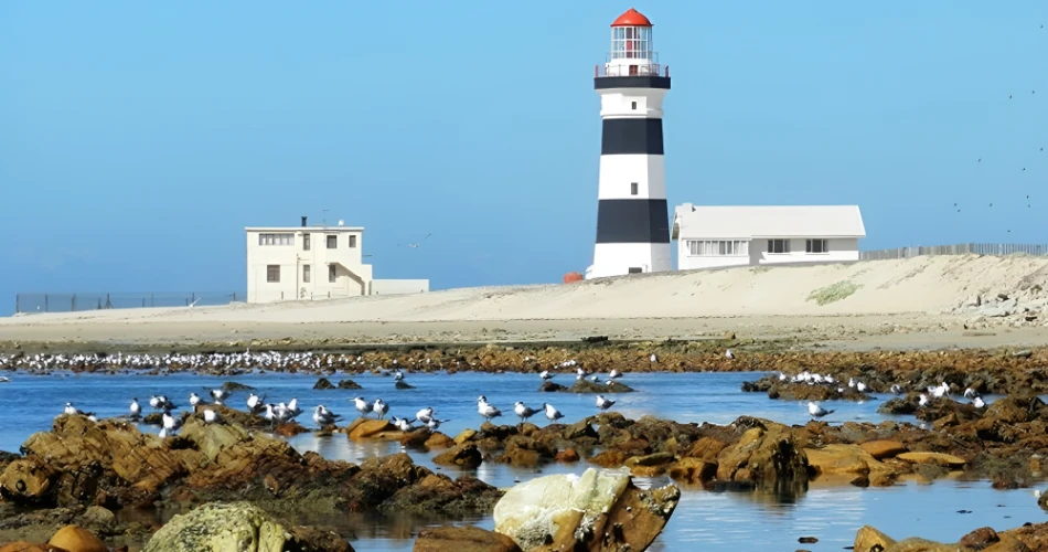 Top Things to Do in Port Elizabeth (Gqeberha) 2025 – Wildlife, Adventure & Culture