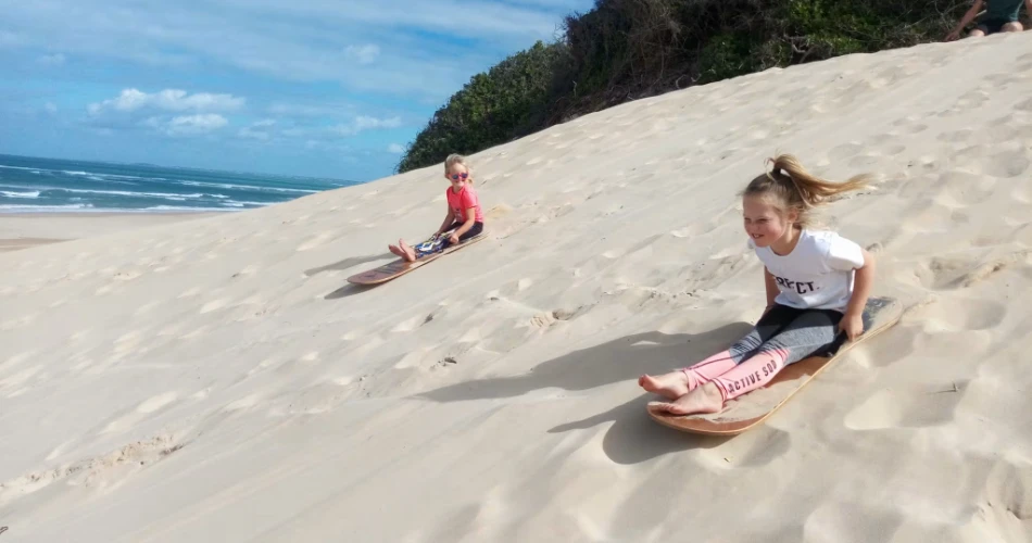 Top Things to Do in Port Elizabeth (Gqeberha) 2025 – Wildlife, Adventure & Culture