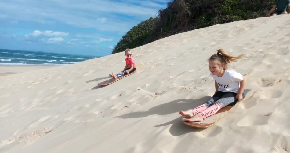 Top Things to Do in Port Elizabeth (Gqeberha) 2025 – Wildlife, Adventure & Culture