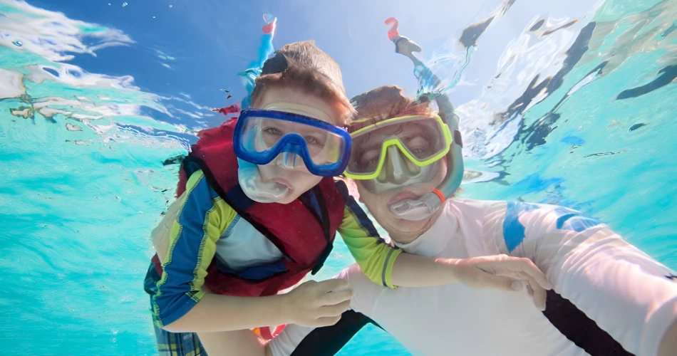 Top Things to Do in Port Elizabeth (Gqeberha) 2025 – Wildlife, Adventure & Culture
