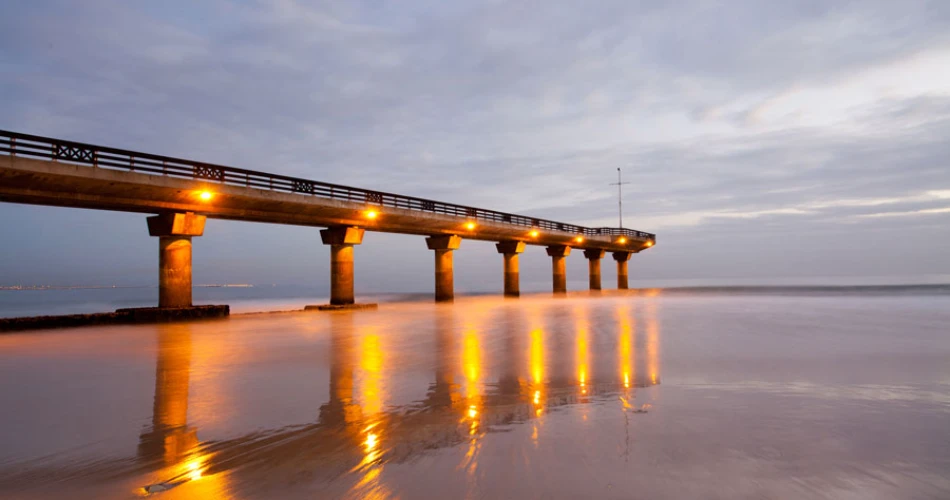 Top Things to Do in Port Elizabeth (Gqeberha) 2025 – Wildlife, Adventure & Culture