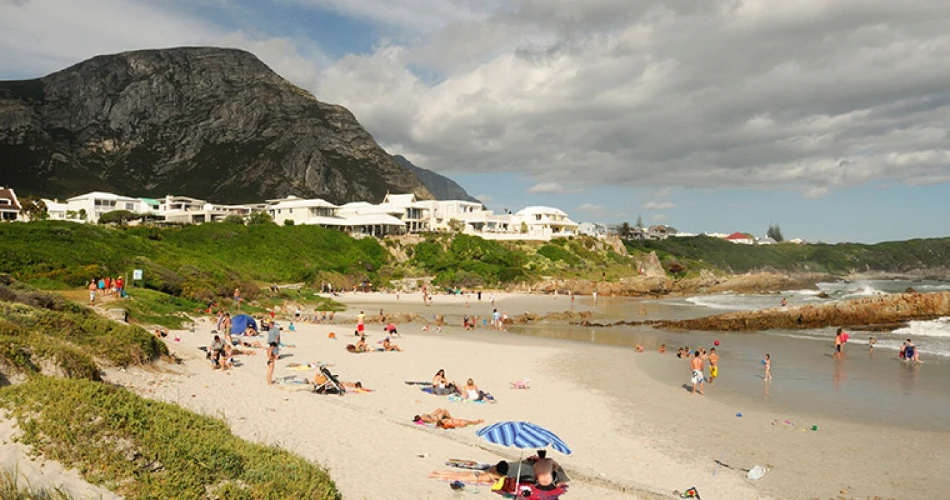 Cape Town to Port Elizabeth Road Trip — The Scenic Garden Route Reimagined
