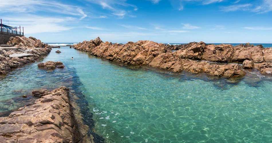 Cape Town to Port Elizabeth Road Trip — The Scenic Garden Route Reimagined