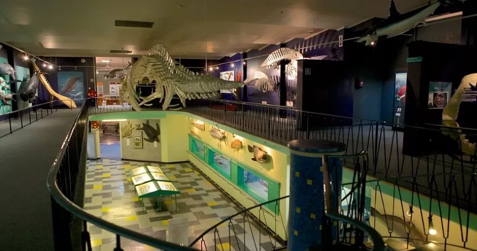 Top Attractions in Port Elizabeth: Discover the Best Sights and Experiences