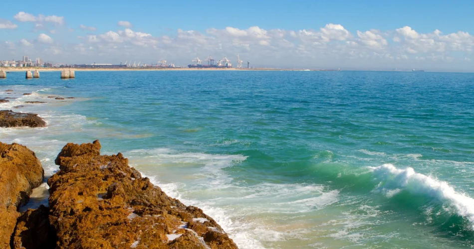 Top Attractions in Port Elizabeth: Discover the Best Sights and Experiences