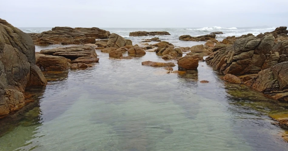 Top Attractions in Port Elizabeth: Discover the Best Sights and Experiences